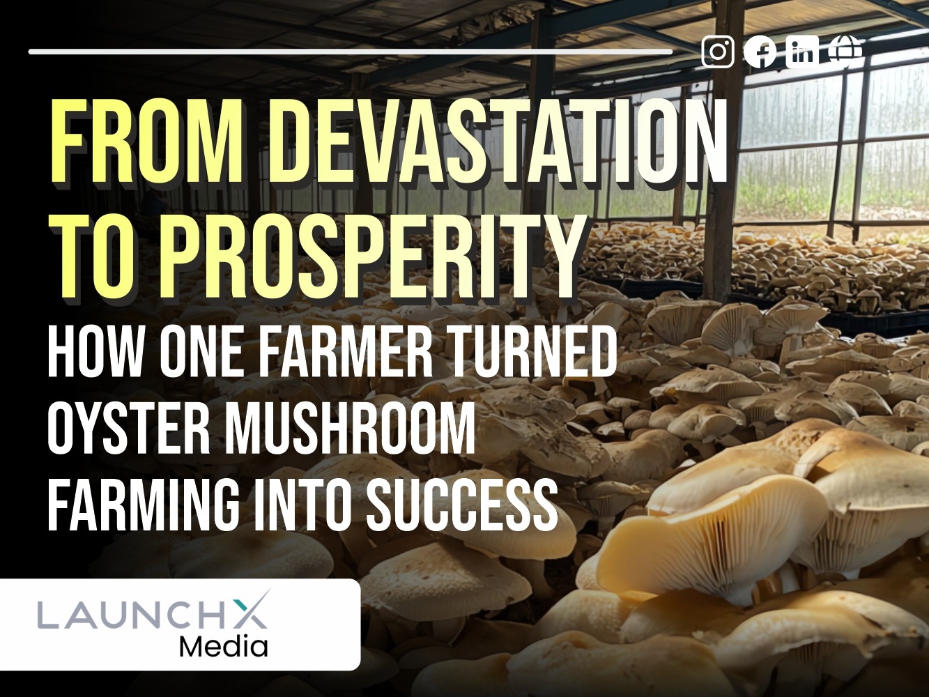 From Cyclone Devastation to Mushroom Success: 7 Inspiring Lessons From an Indian Farmer